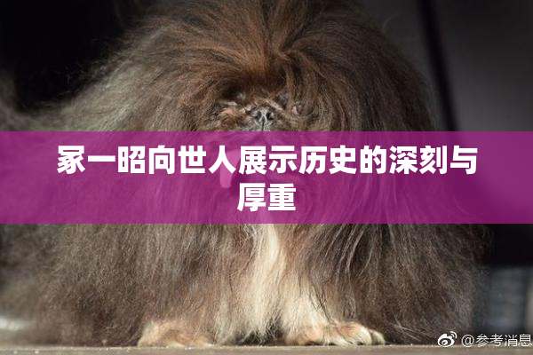 冢一昭向世人展示历史的深刻与厚重