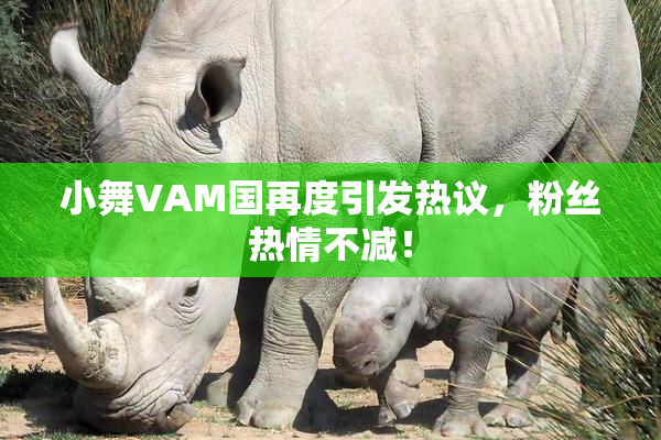 小舞VAM国再度引发热议，粉丝热情不减！