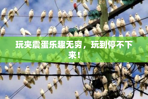 玩夹震蛋乐趣无穷，玩到停不下来！