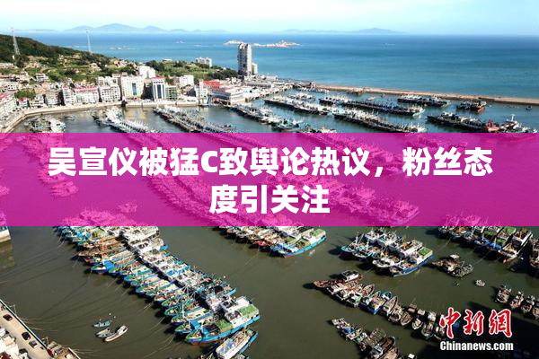 吴宣仪被猛C致舆论热议，粉丝态度引关注