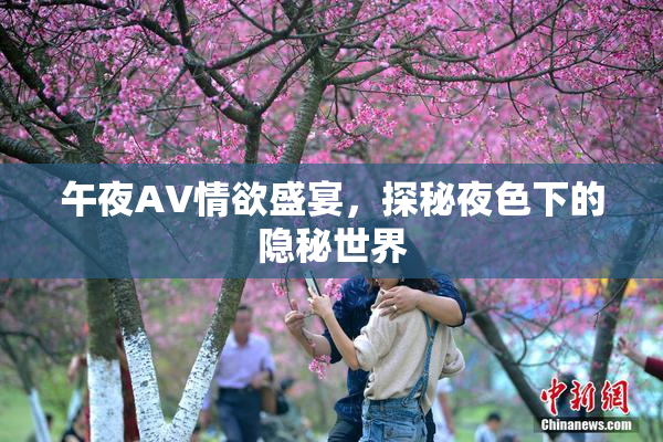 午夜AV情欲盛宴，探秘夜色下的隐秘世界
