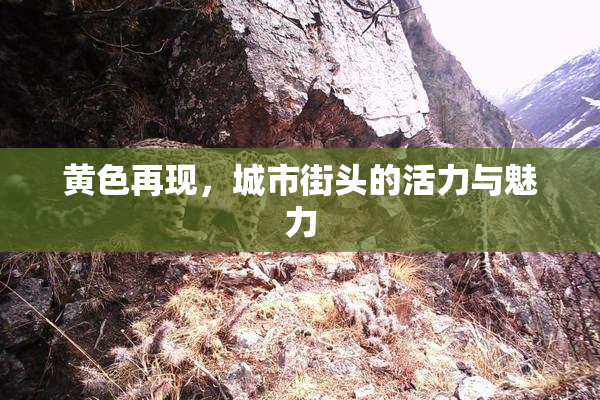黄色再现，城市街头的活力与魅力