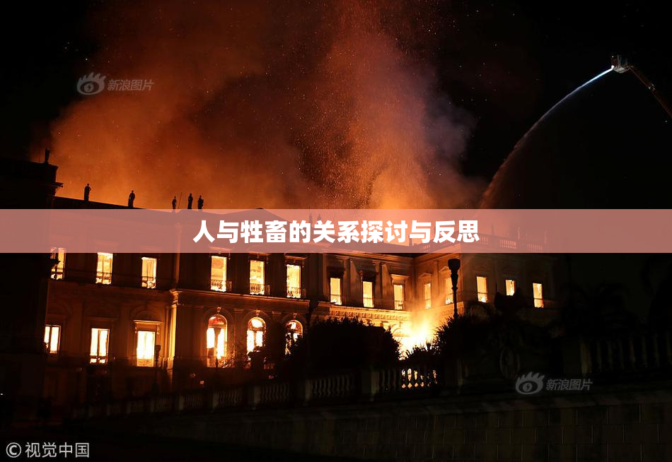 人与牲畜的关系探讨与反思