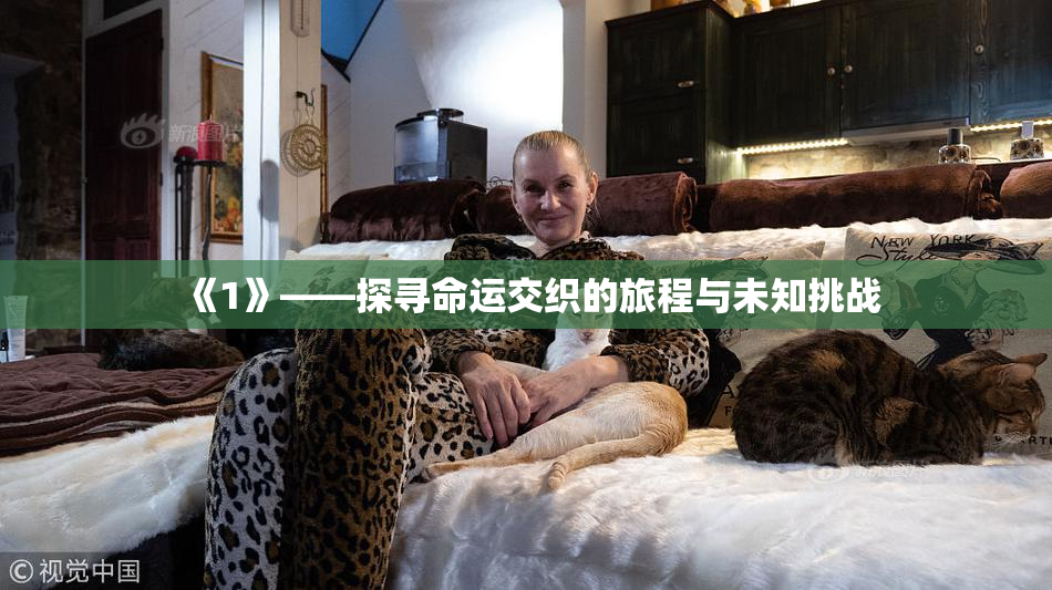 《1》——探寻命运交织的旅程与未知挑战