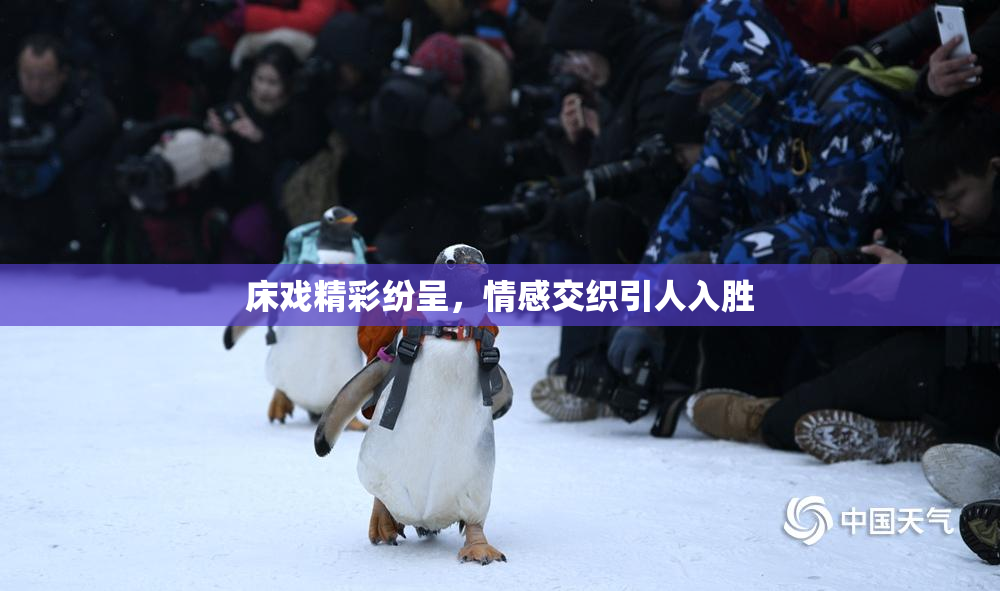 床戏精彩纷呈，情感交织引人入胜