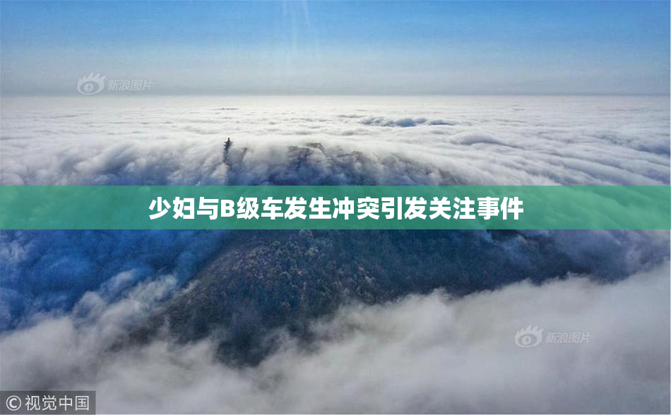 少妇与B级车发生冲突引发关注事件