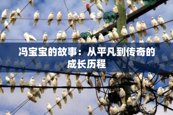 冯宝宝的故事：从平凡到传奇的成长历程