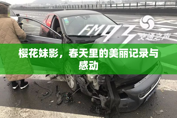 樱花妹影，春天里的美丽记录与感动