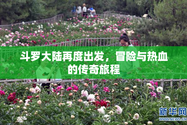 斗罗大陆再度出发，冒险与热血的传奇旅程