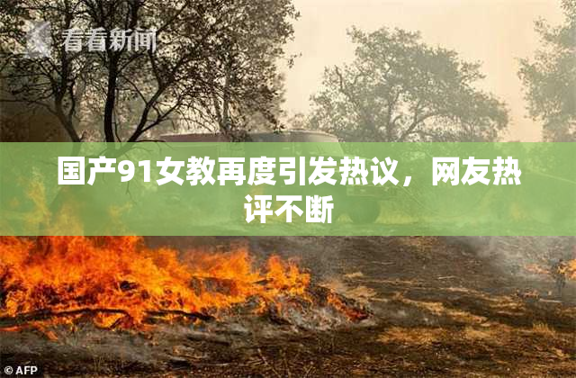 国产91女教再度引发热议，网友热评不断
