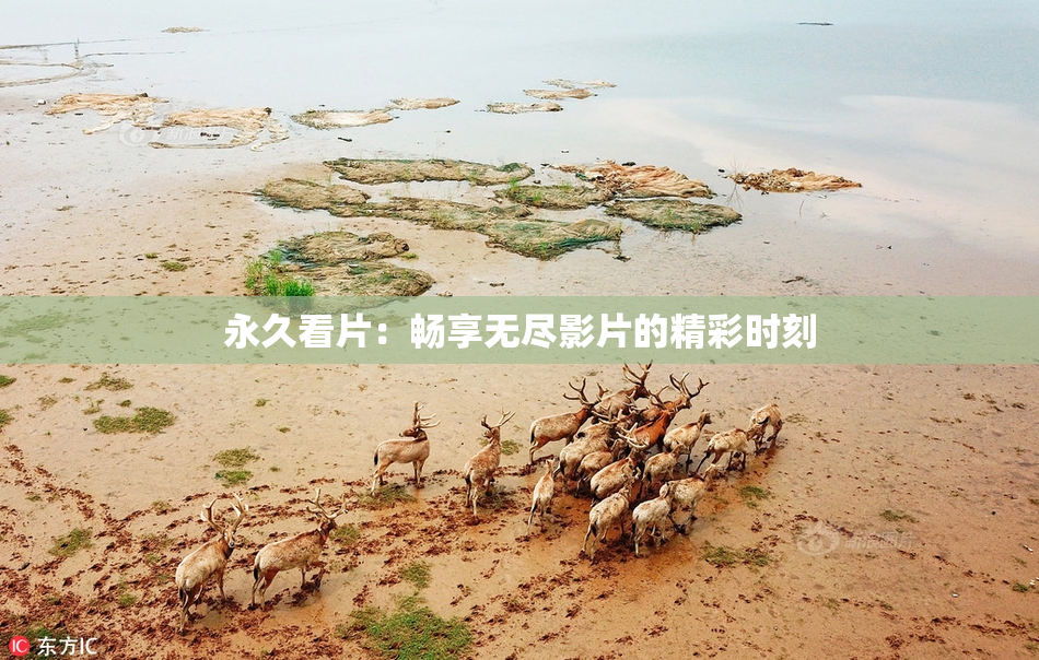永久看片：畅享无尽影片的精彩时刻
