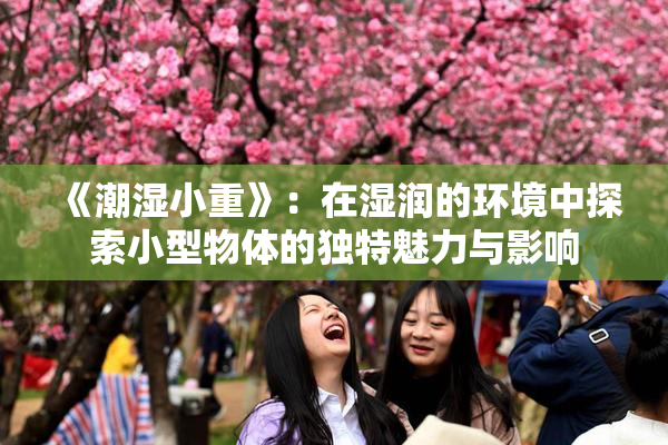 《潮湿小重》：在湿润的环境中探索小型物体的独特魅力与影响