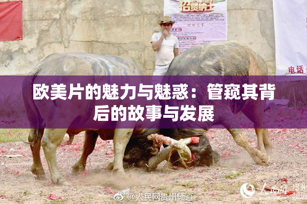 欧美片的魅力与魅惑：管窥其背后的故事与发展