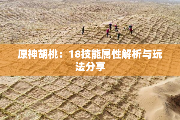 原神胡桃：18技能属性解析与玩法分享