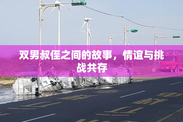 双男叔侄之间的故事，情谊与挑战共存
