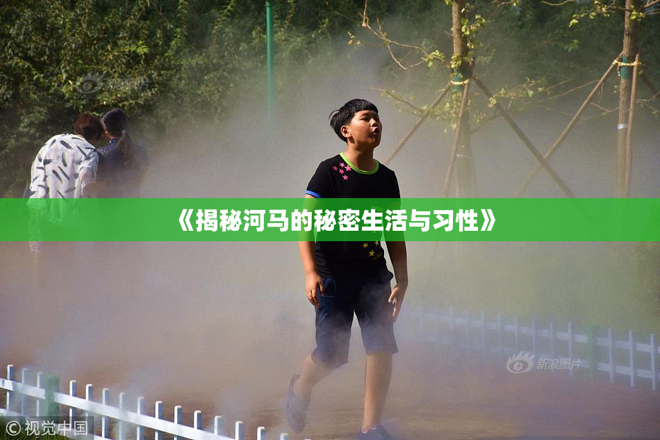 《揭秘河马的秘密生活与习性》