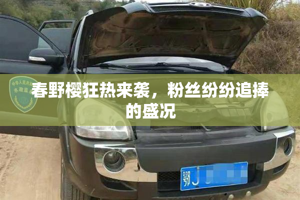 春野樱狂热来袭，粉丝纷纷追捧的盛况