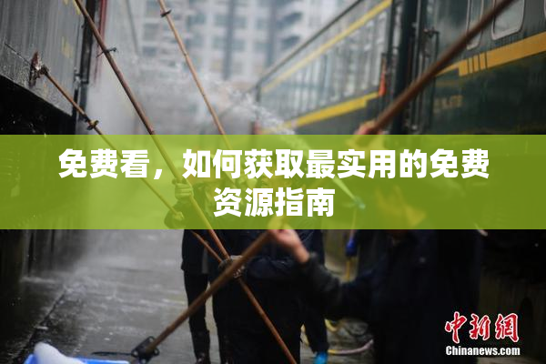 免费看，如何获取最实用的免费资源指南