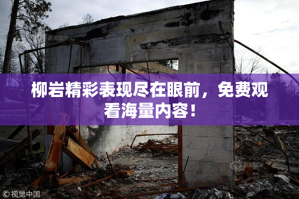 柳岩精彩表现尽在眼前，免费观看海量内容！