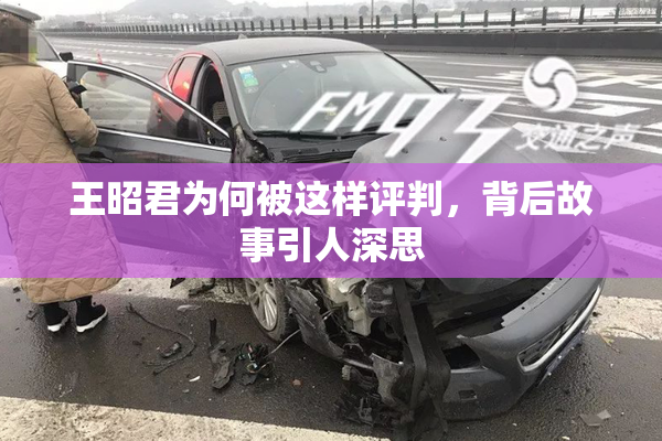 王昭君为何被这样评判，背后故事引人深思