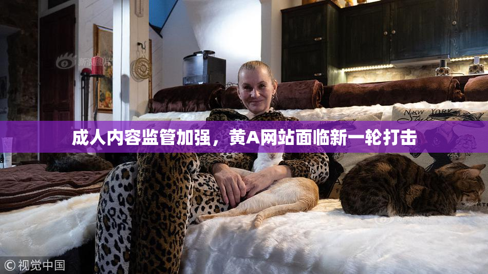 成人内容监管加强，黄A网站面临新一轮打击