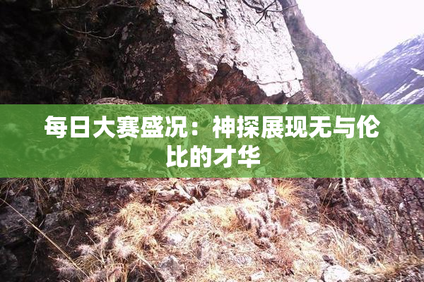每日大赛盛况：神探展现无与伦比的才华