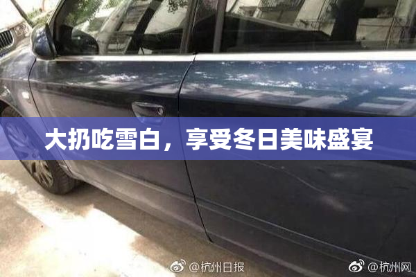 大扔吃雪白，享受冬日美味盛宴
