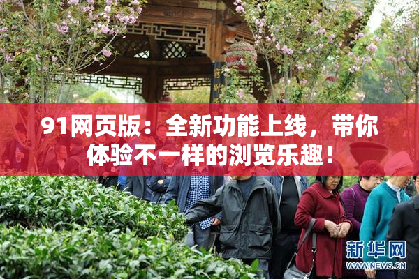 91网页版：全新功能上线，带你体验不一样的浏览乐趣！