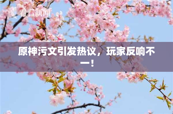 原神污文引发热议，玩家反响不一！