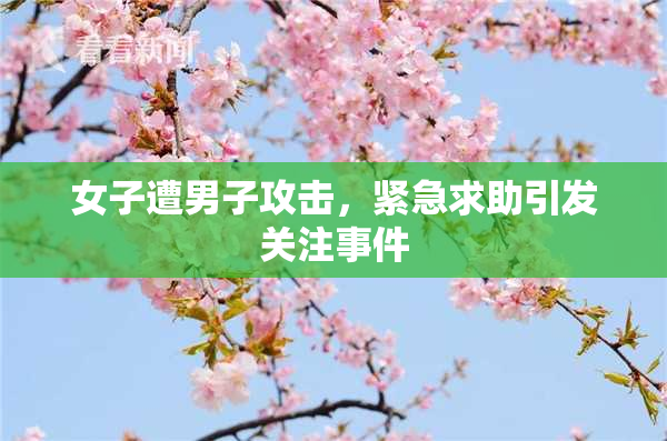 女子遭男子攻击，紧急求助引发关注事件