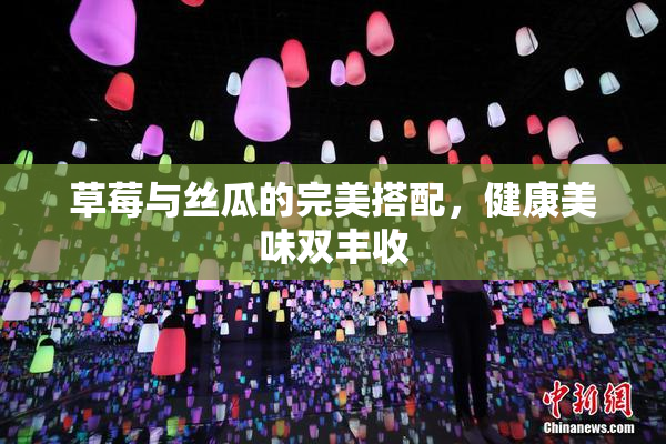 草莓与丝瓜的完美搭配，健康美味双丰收