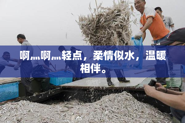 啊灬啊灬轻点，柔情似水，温暖相伴。