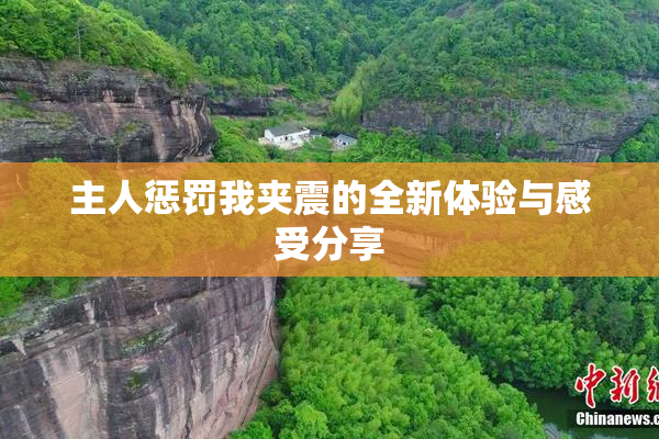 主人惩罚我夹震的全新体验与感受分享
