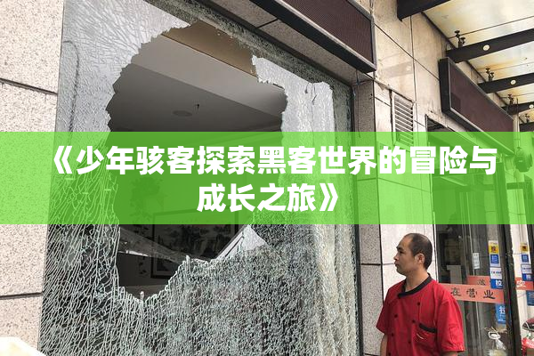 《少年骇客探索黑客世界的冒险与成长之旅》