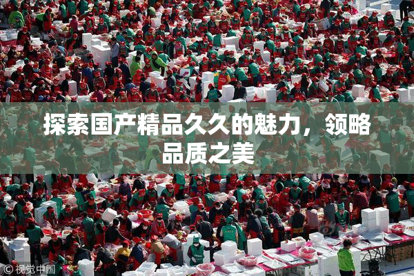 探索国产精品久久的魅力，领略品质之美