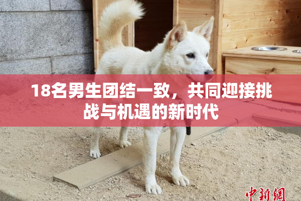 18名男生团结一致，共同迎接挑战与机遇的新时代