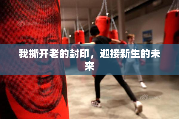 我撕开老的封印，迎接新生的未来