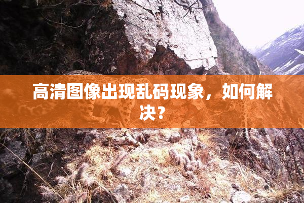 高清图像出现乱码现象，如何解决？