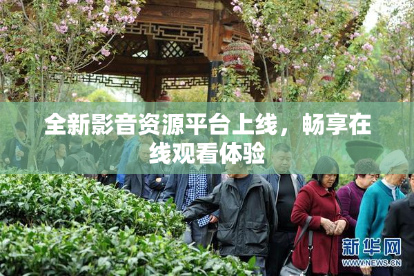 全新影音资源平台上线，畅享在线观看体验