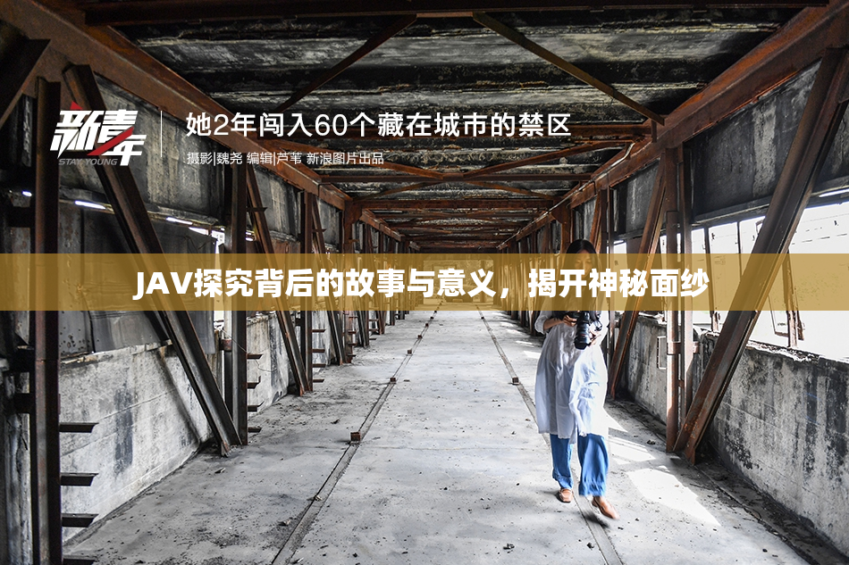 JAV探究背后的故事与意义，揭开神秘面纱