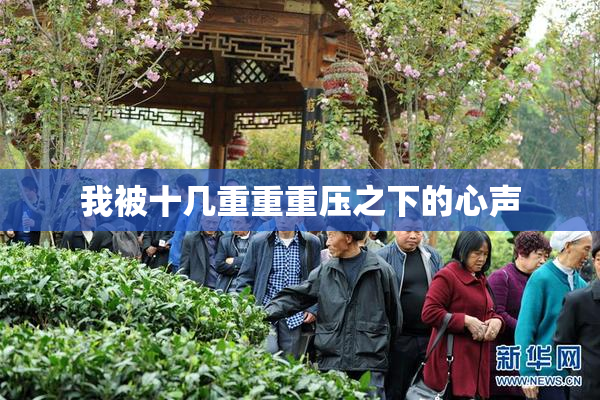 我被十几重重重压之下的心声