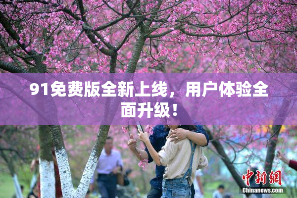 91免费版全新上线，用户体验全面升级！