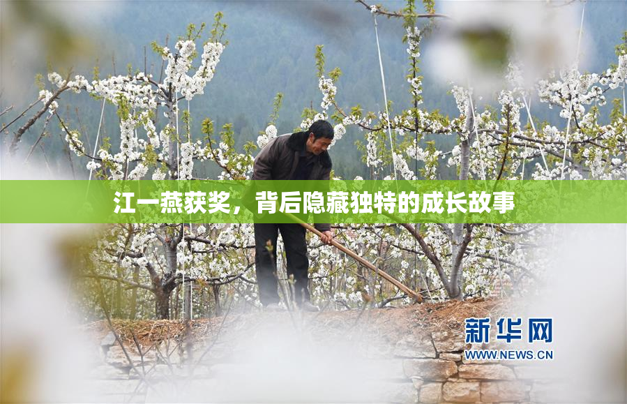 江一燕获奖，背后隐藏独特的成长故事