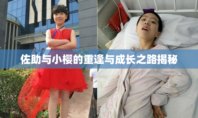 佐助与小樱的重逢与成长之路揭秘