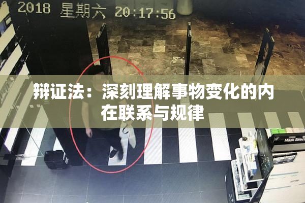 辩证法：深刻理解事物变化的内在联系与规律