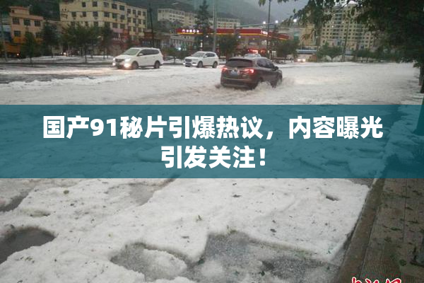 国产91秘片引爆热议，内容曝光引发关注！