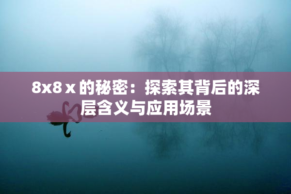 8x8ⅹ的秘密：探索其背后的深层含义与应用场景