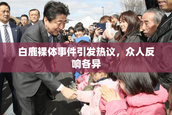 白鹿裸体事件引发热议，众人反响各异