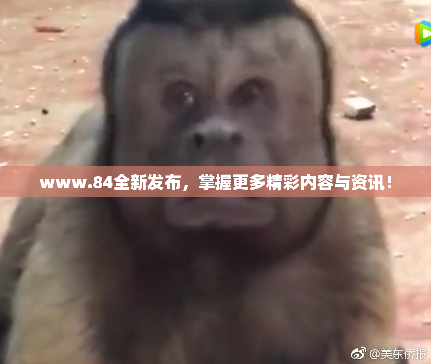 www.84全新发布，掌握更多精彩内容与资讯！