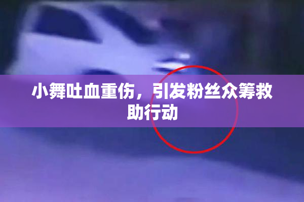 小舞吐血重伤，引发粉丝众筹救助行动